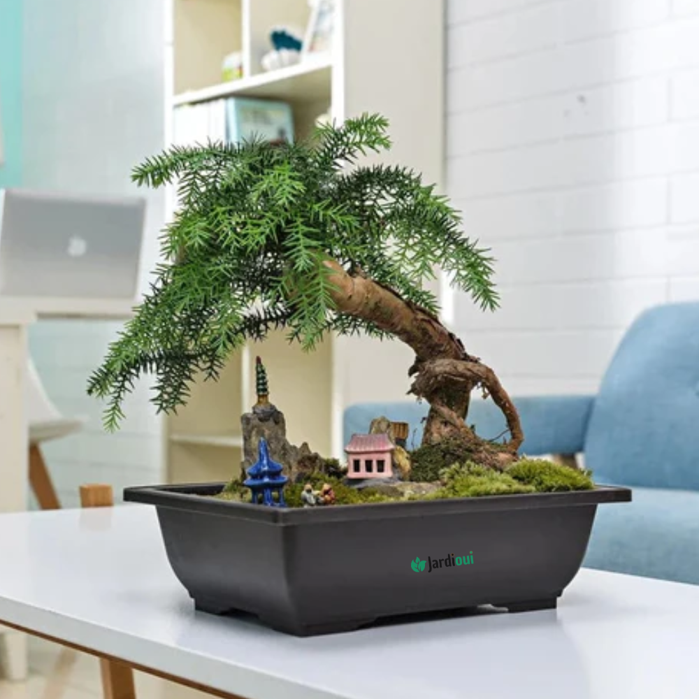 Jardioui 1 Jardinière (24.90 €/ pcs) Jardinière Rectangulaire Élégante