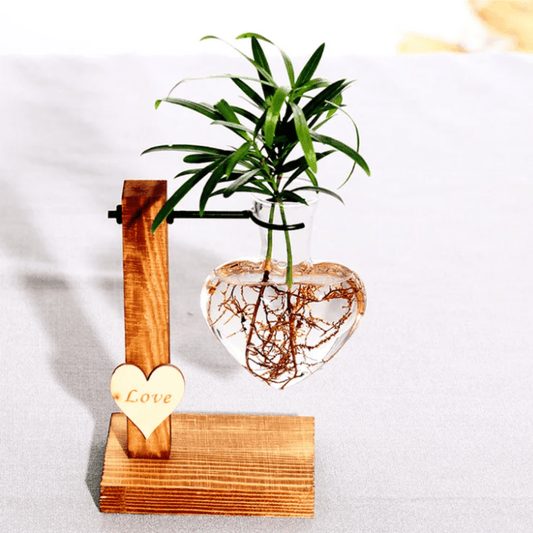 Jardioui Amour Simple Vase Suspendu Cœur Hydroponique