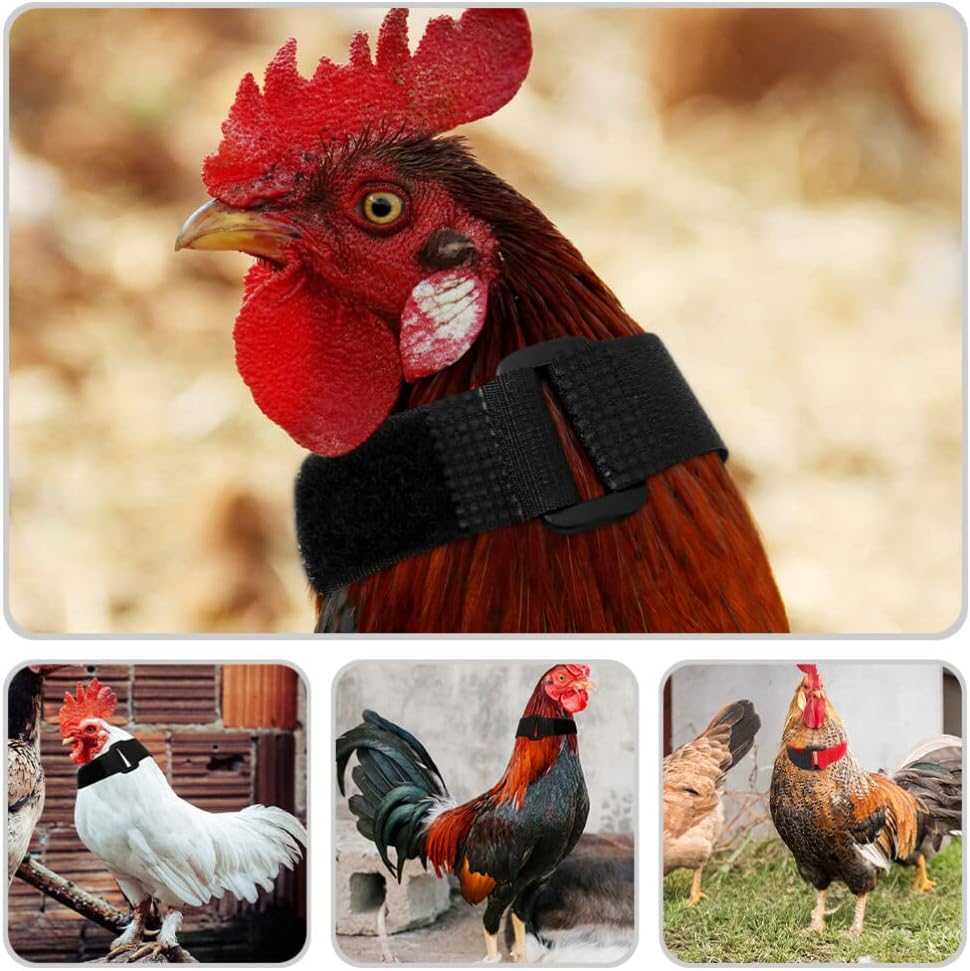 Jardioui Collier Anti-Cri Réglable pour Poulets