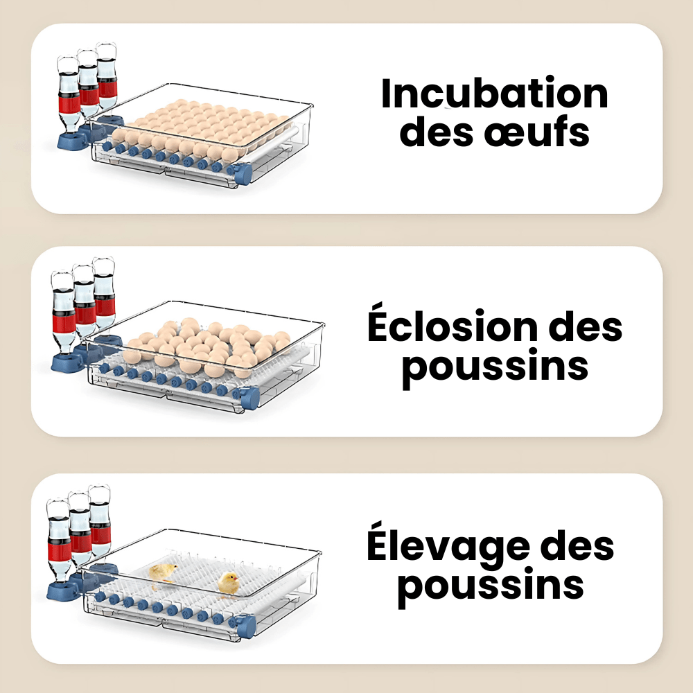 Jardioui Couveuse Automatique Professionnelle Poulailler