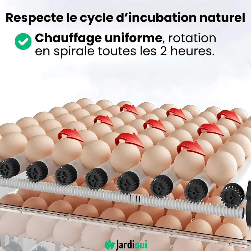 Jardioui Couveuse Automatique Professionnelle Poulailler