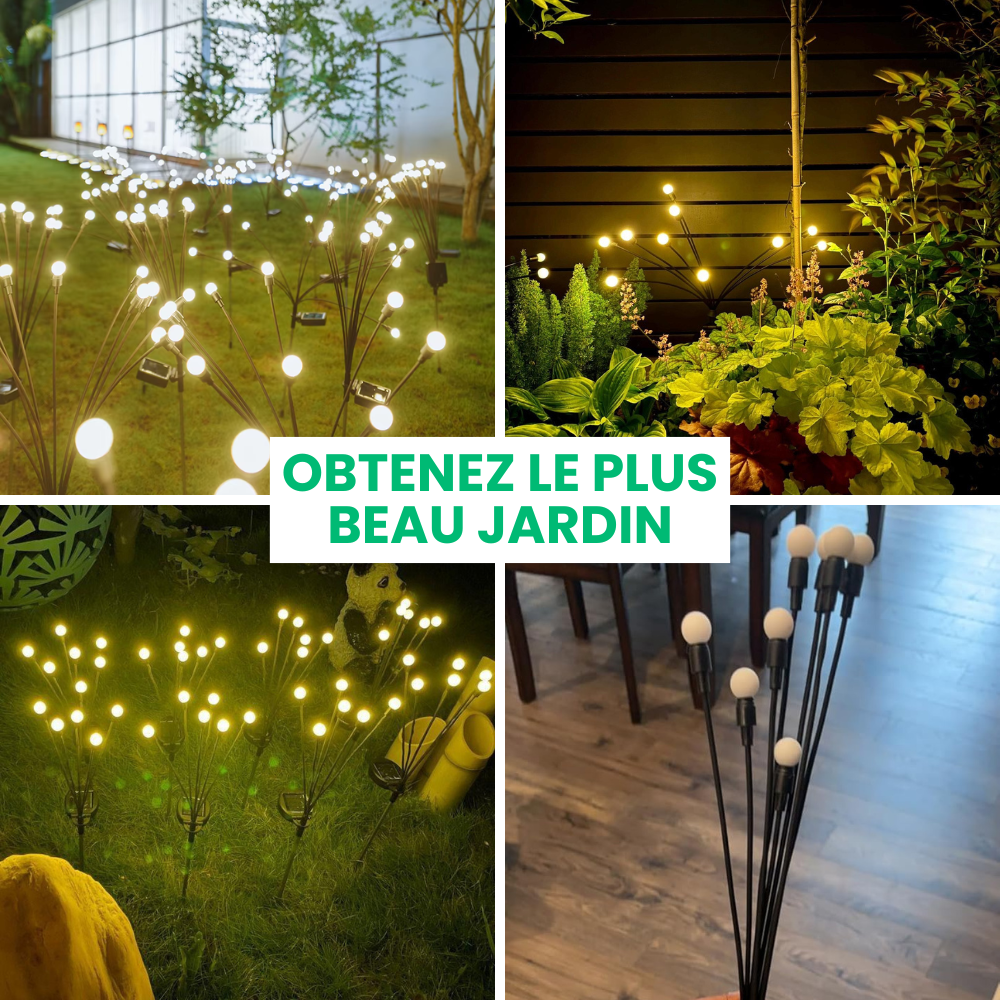 Jardioui Lampes LED Lucioles à Énergie Solaire - Offre Spéciale
