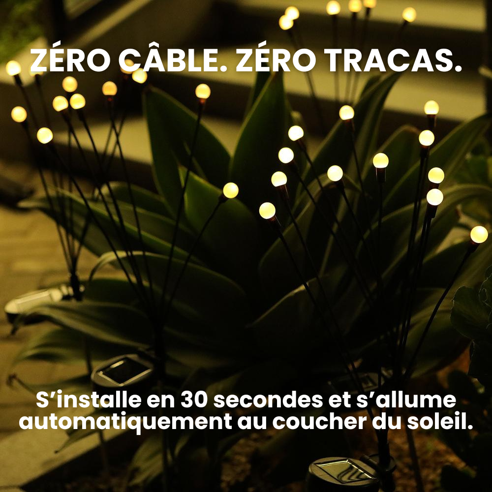 Jardioui Lampes LED Lucioles à Énergie Solaire - Offre Spéciale