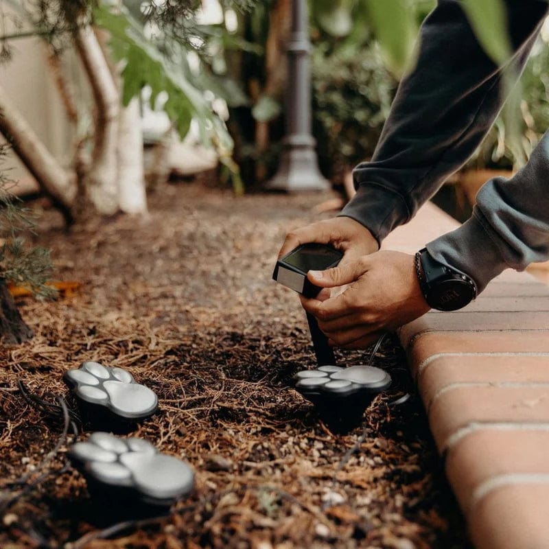 Jardioui Lumières Solaires Pattes Multicolores